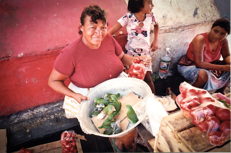 A market in El Salvador, which has the highest rate of homicide against women in the world. (Photo from Flickr by Jpeg Jedi)