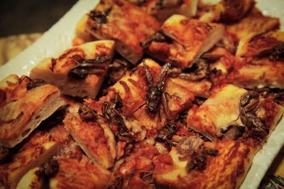 Cafe Racer's grasshopper pizza, served at the Burke Museum's Bug Chef lecture (Photo courtesy of the Burke Museum)