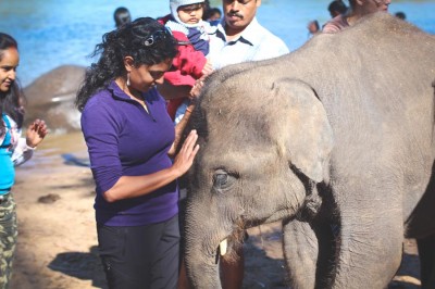 The author with a baby elephant on a recent trip to India. (Photo courtesy Sudha Nandagopal)