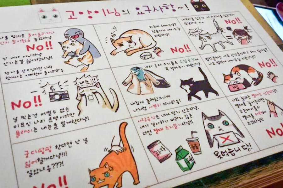 A rule card displayed at the Cat Attic cat café in Korea. Cafes commonly employ rules such as not picking up sleeping or visibly agitated cats. (Photo courtesy of Karla Orozco)