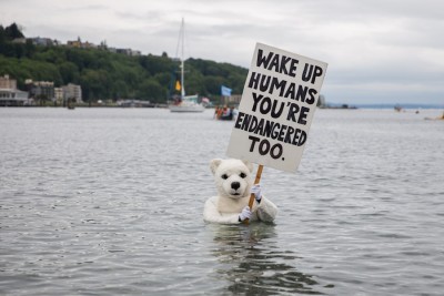Seattle polar bear protestor.