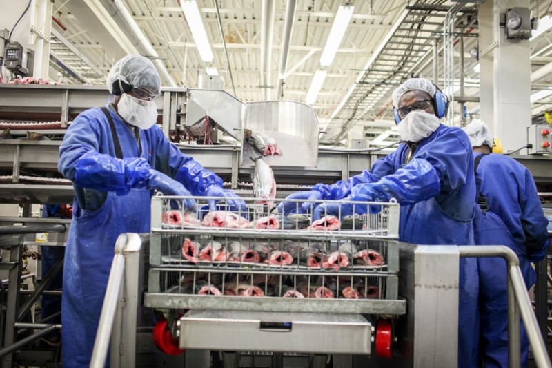 East African refugees chase opportunity in Alaska seafood jobs The