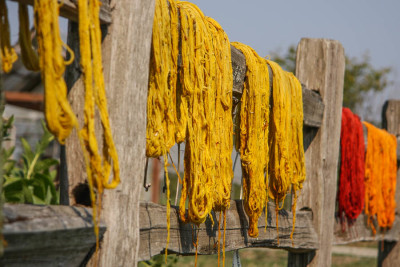 Dyed yarn hanging on a fence at the Jubilee Farm in Snoqualmie, part of a class on using natural plant dyes. (Photo by Carolyn Higgins)