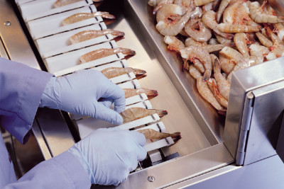 A photo from the Gregor Jonsson, Inc website shows their shrimp peeling machine in action.