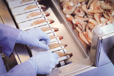 A photo from the Gregor Jonsson, Inc website shows their shrimp peeling machine in action. According to the website each machine can peel 5000 shrimp an hour.