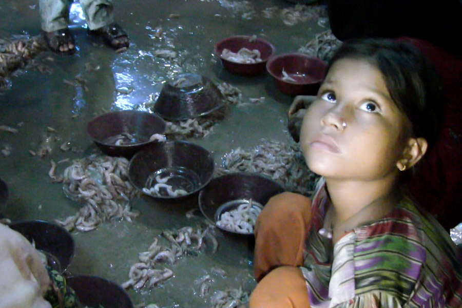 A small-scale shrimp peeling factory in Karachi, Pakistan where children, mostly girls, work in abusive, unsanitary conditions rather than attending school. (Video still by Alex Stonehill)