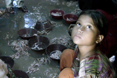 A small-scale shrimp peeling factory in Karachi, Pakistan where children, mostly girls, work in abusive, unsanitary conditions during school hours. (Video still by Alex Stonehill)