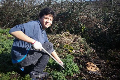 Fernando Buitran gets his hands dirty working with the Duwamish Valley Youth Corps. (Photo by Barbara Clabots)