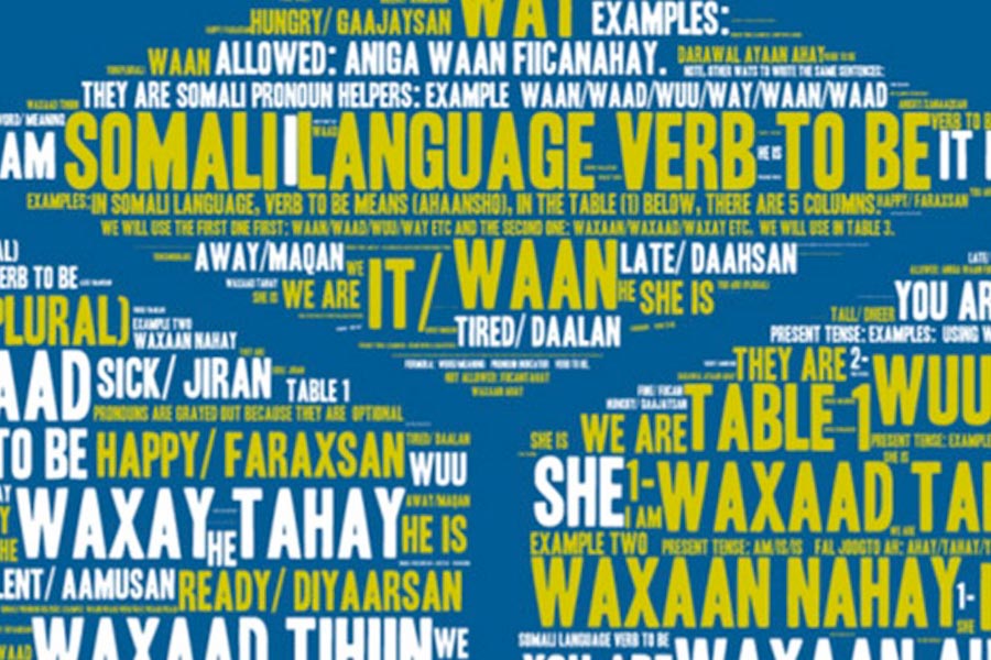 A montage of words written in Somali and English, seen on the onecityproject.org website.